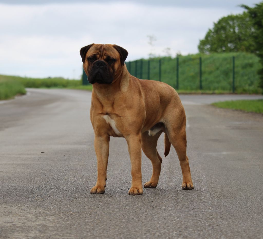 Des Sentinelles Des Essarts Thunder of zeus