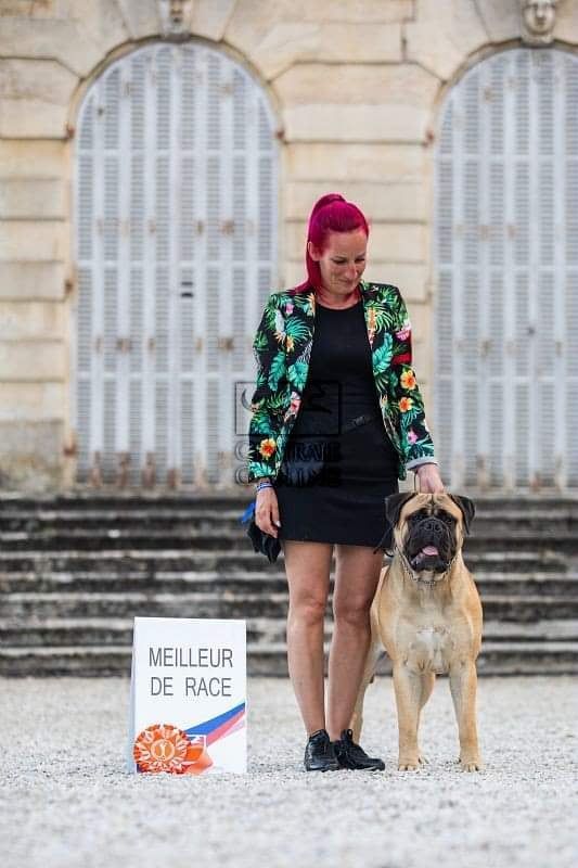 CH. Rita ora Des Sentinelles Des Essarts