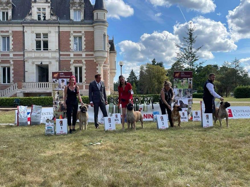 CH. Rita ora Des Sentinelles Des Essarts