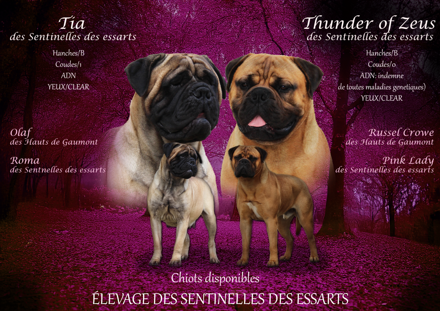 Les bébés sont là !